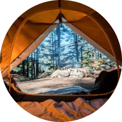 Nature from the inside of a tent