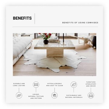 eCowhides creative by Disruptive Advertising