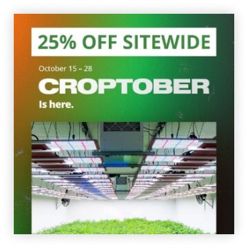 croptober creative by Disruptive Advertising