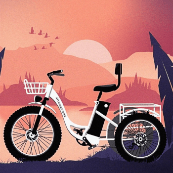 3-wheeled bike next to a setting sun and lake